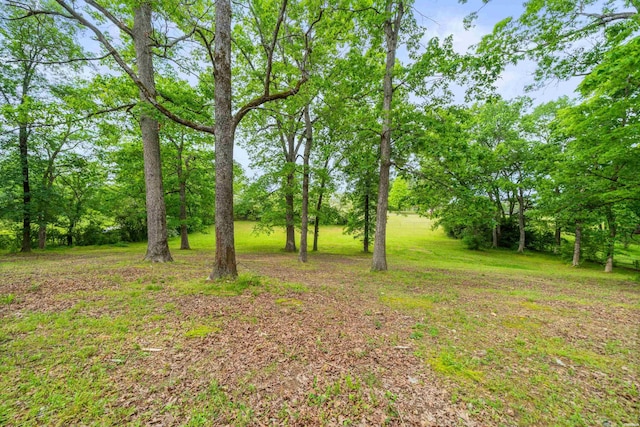 view of grassy yard