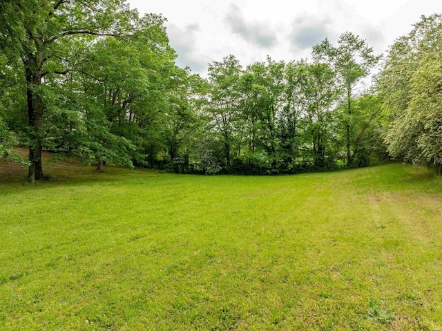 202 Starfield Pl, Hot Springs, AR 71913 - photo 49