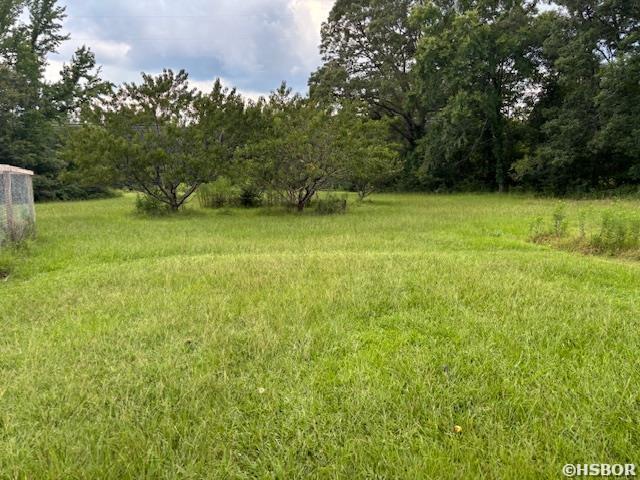 24019 S Whippoorwill Ln, Bauxite, AR 72011 - photo 21