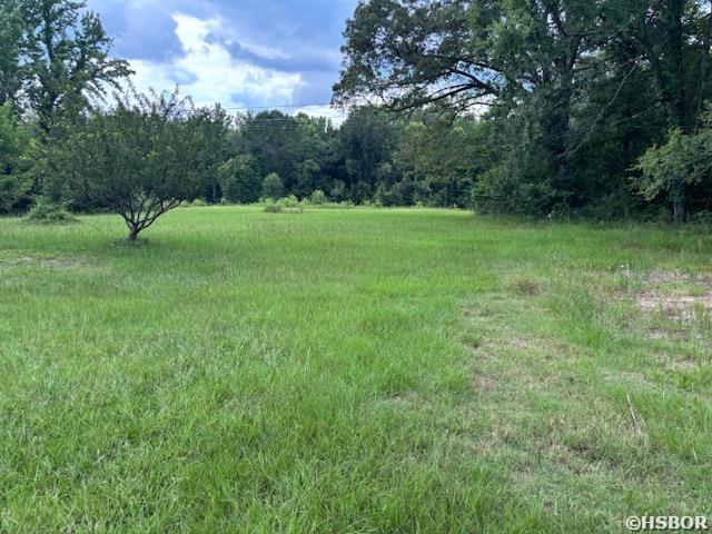 24019 S Whippoorwill Ln, Bauxite, AR 72011 - photo 22