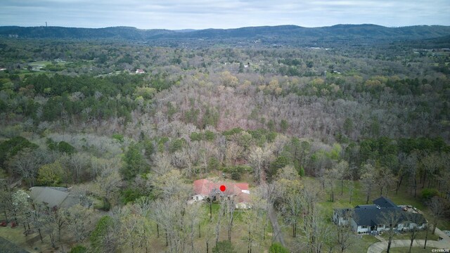 bird's eye view featuring a mountain view and a forest view