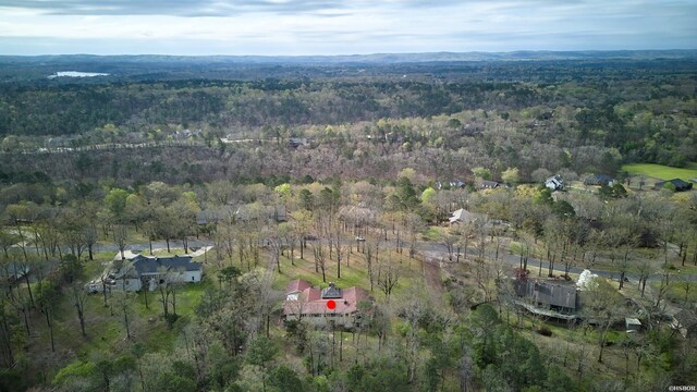 bird's eye view with a forest view