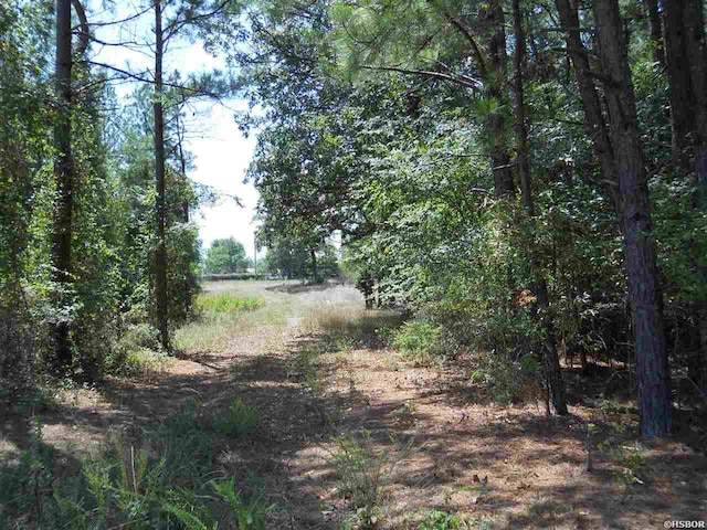 Listing photo 2 for TBD Gabor Ln, Hot Springs AR 71913