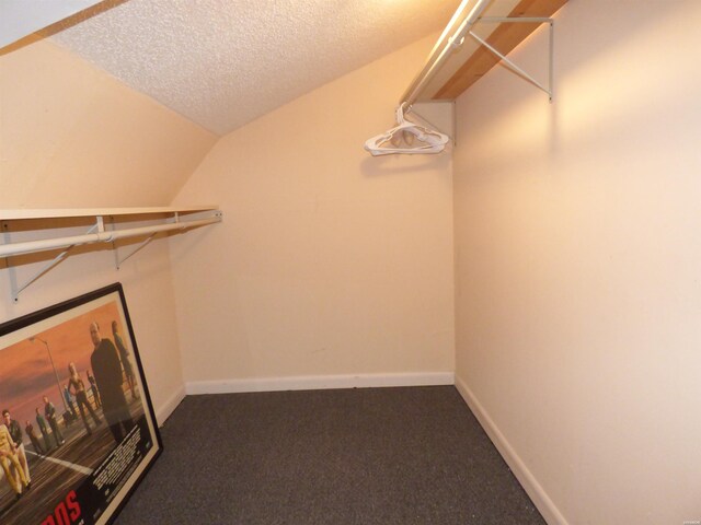 spacious closet featuring dark colored carpet and vaulted ceiling