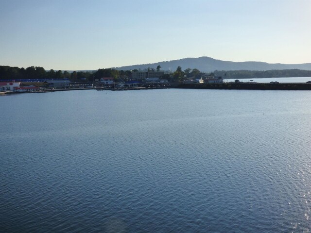 water view featuring a mountain view