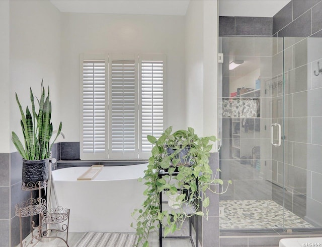 bathroom with a freestanding tub, plenty of natural light, and a shower stall