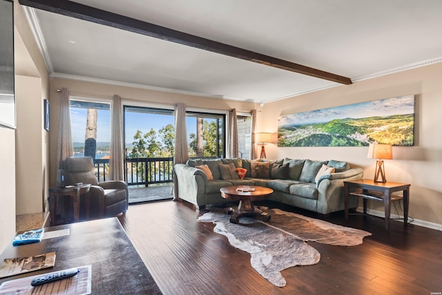 living room featuring dark wood-style floors, beam ceiling, and a healthy amount of sunlight