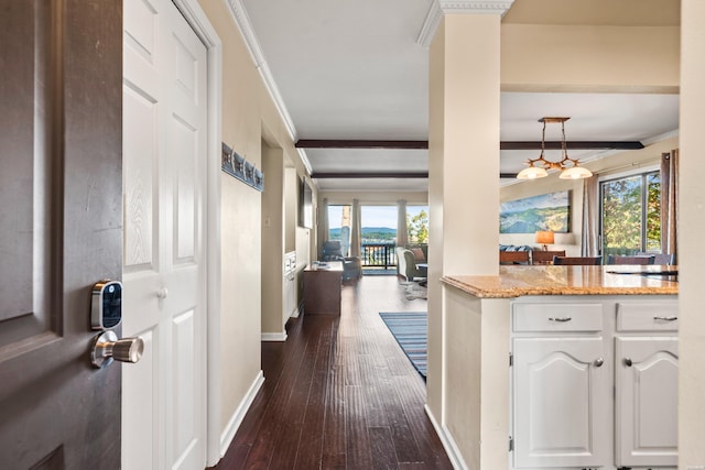 hallway featuring a wealth of natural light, dark wood finished floors, and crown molding