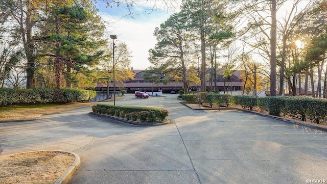 view of street featuring curbs