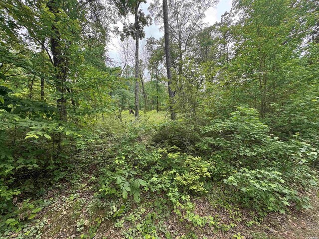 LOT3251 Ohio Dr, Hot Springs, AR 71913 - photo 3