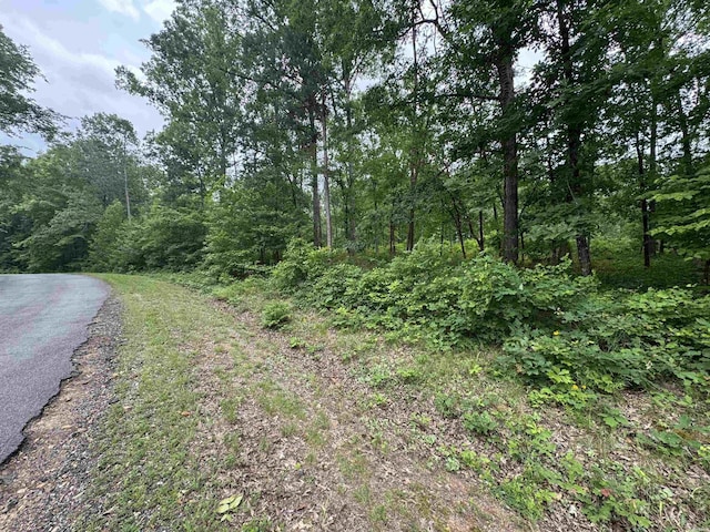 LOT3251 Ohio Dr, Hot Springs, AR 71913 - photo 2