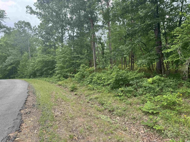 LOT3251 Ohio Dr, Hot Springs, AR 71913 - photo 1