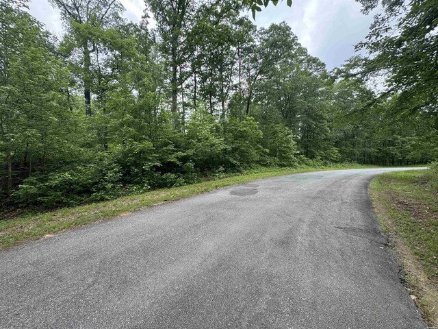 LOT3251 Ohio Dr, Hot Springs, AR 71913 - photo 4