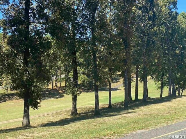 LOT3251 Ohio Dr, Hot Springs, AR 71913 - photo 8