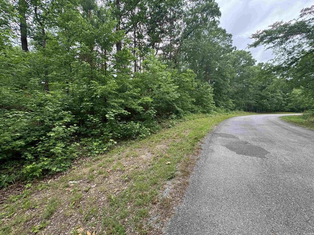 LOT3251 Ohio Dr, Hot Springs, AR 71913 - photo 5