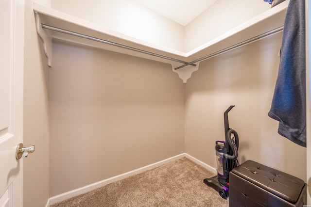 128 Kaleigh Ct Unit B, Hot Springs, AR 71913 - walk in closet featuring carpet