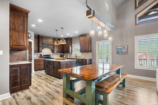 kitchen with decorative backsplash, light wood-style floors, appliances with stainless steel finishes, and dark brown cabinets