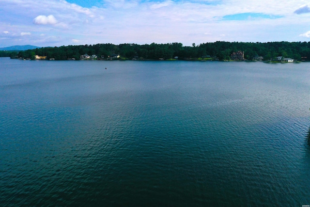 400 Farr Shores Dr Unit 2E, Hot Springs, AR 71913 - water view with a heavily wooded area
