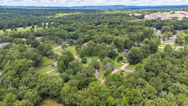 170 Parkway Sq, Pearcy, AR 71964 - photo 41
