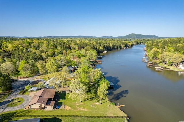 bird's eye view featuring a forest view and a water view