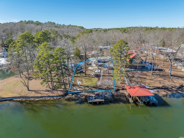 bird's eye view featuring a water view and a view of trees