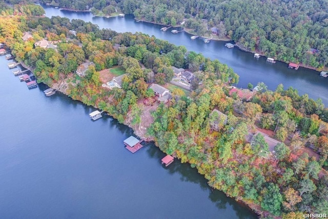 1200 Rock Creek Rd, Hot Springs, AR 71913 - aerial view of property and surrounding area with a forest and a large body of water