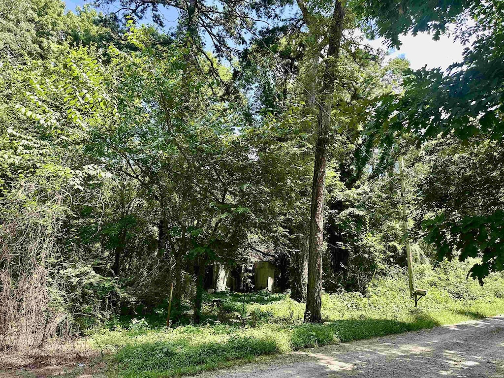 102 Walnut Rd, Glenwood, AR 71943 - photo 3