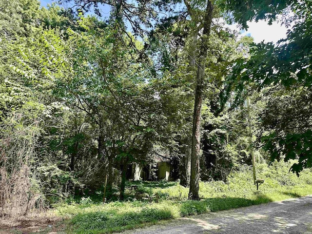 102 Walnut Rd, Glenwood, AR 71943 - photo 3