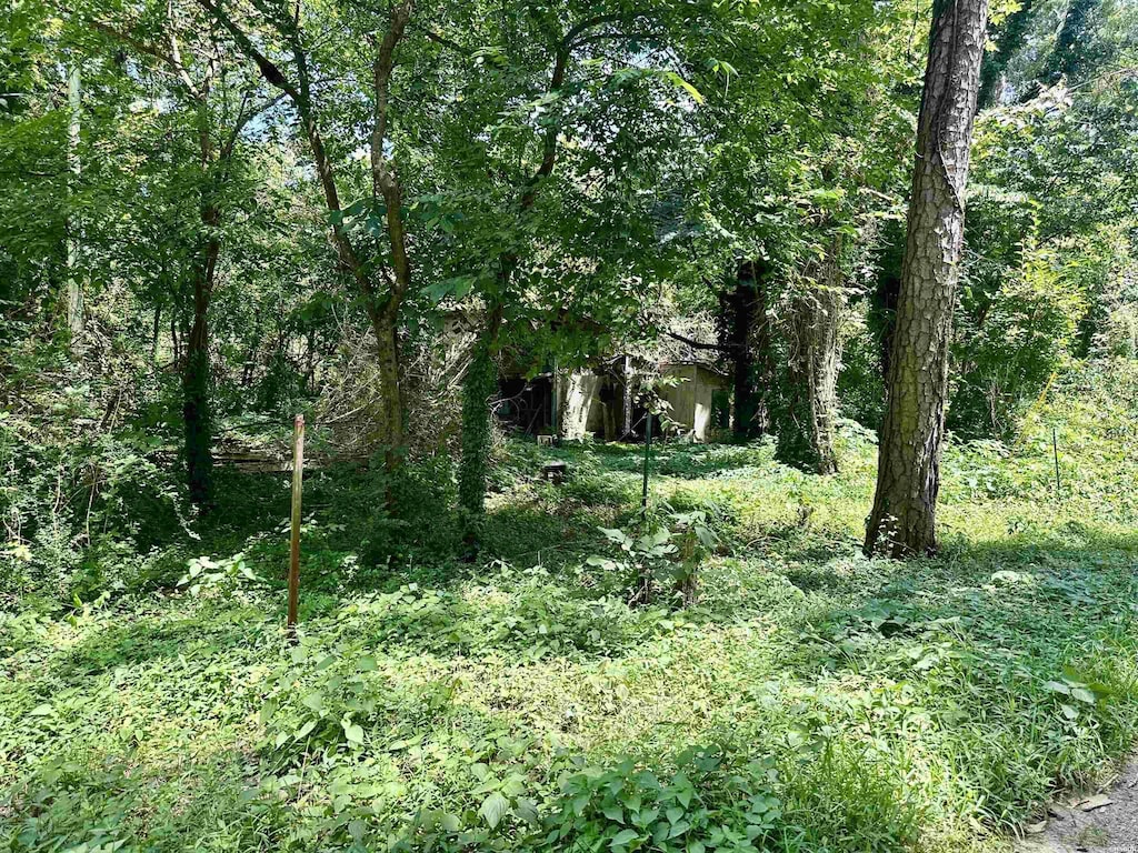 102 Walnut Rd, Glenwood, AR 71943 - photo 2