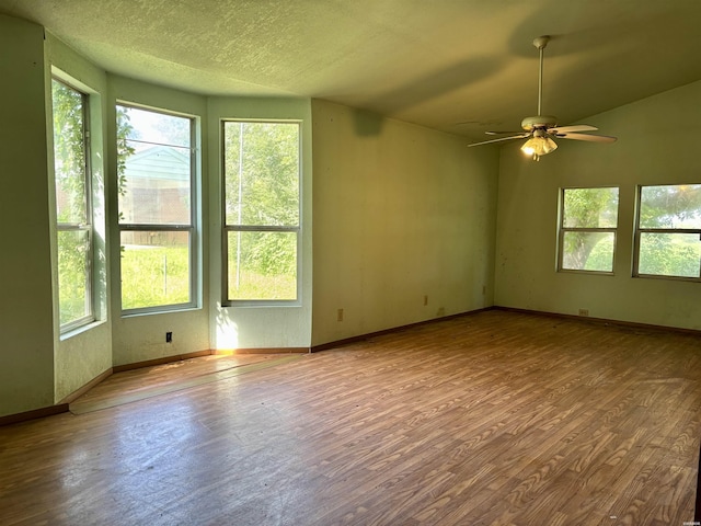 114 Ouachita Ave, Oden, AR 71961 - photo 11