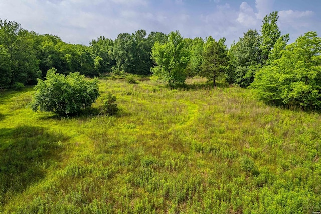 2905 Bateman Rd, Okolona, AR 71962 - view of tree filled area