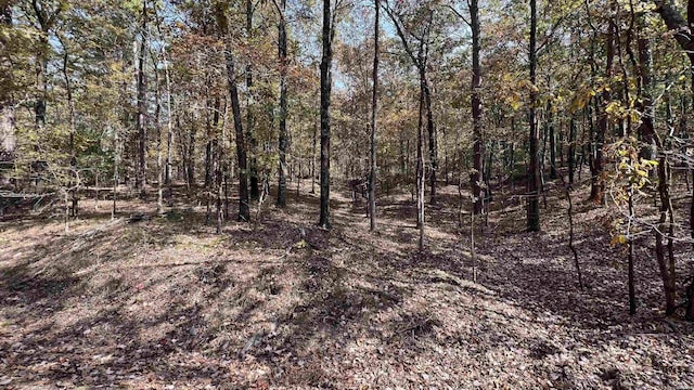 Listing photo 2 for LOT5BLOCK14 Espectro, Hot Springs Village AR 71909