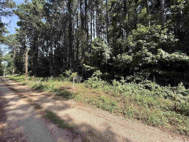 597 Mount Zion Rd, Arkadelphia, AR 71923 - photo 17
