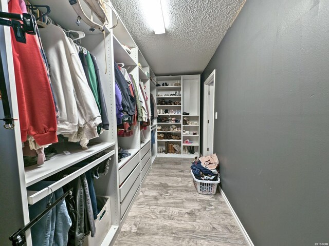 walk in closet featuring light wood-style floors