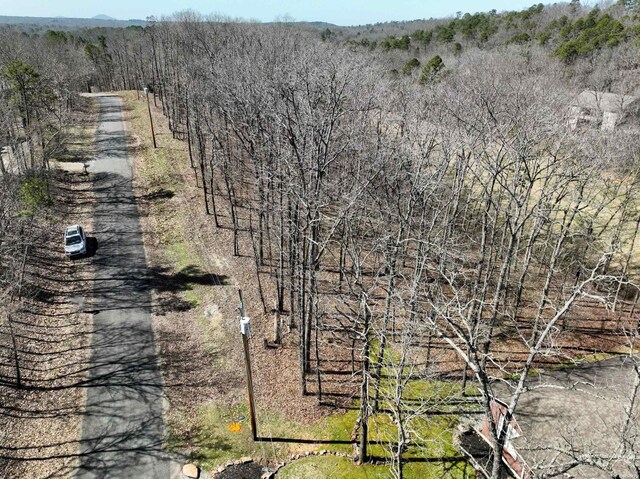1667A-1671A Westchester Ct, Hot Springs, AR 71913 - photo 35