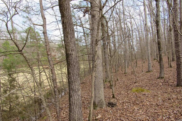 1667A-1671A Westchester Ct, Hot Springs, AR 71913 - photo 16
