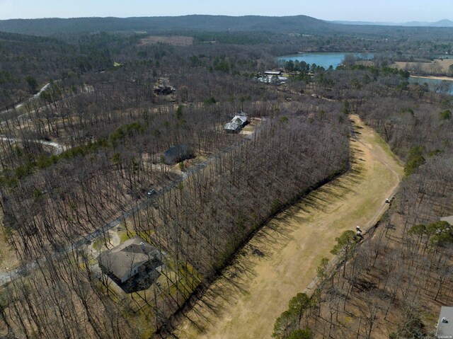 1667A-1671A Westchester Ct, Hot Springs, AR 71913 - photo 31