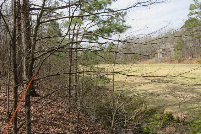 1667A-1671A Westchester Ct, Hot Springs, AR 71913 - photo 6