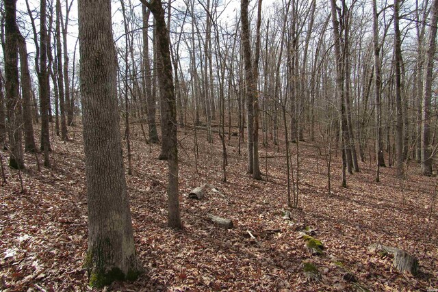 1667A-1671A Westchester Ct, Hot Springs, AR 71913 - photo 8
