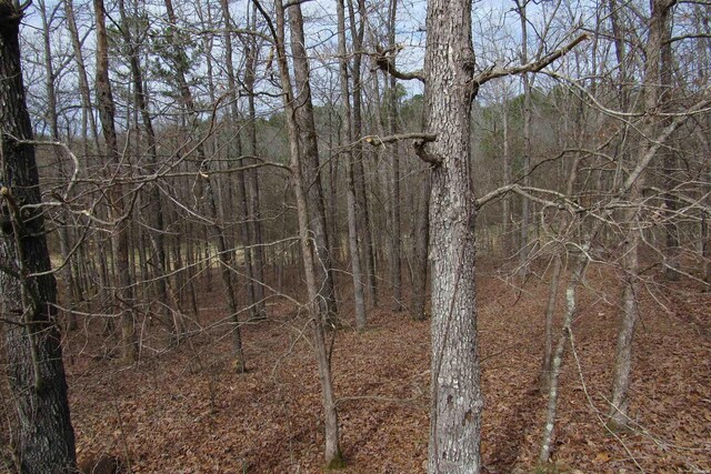 1667A-1671A Westchester Ct, Hot Springs, AR 71913 - photo 11