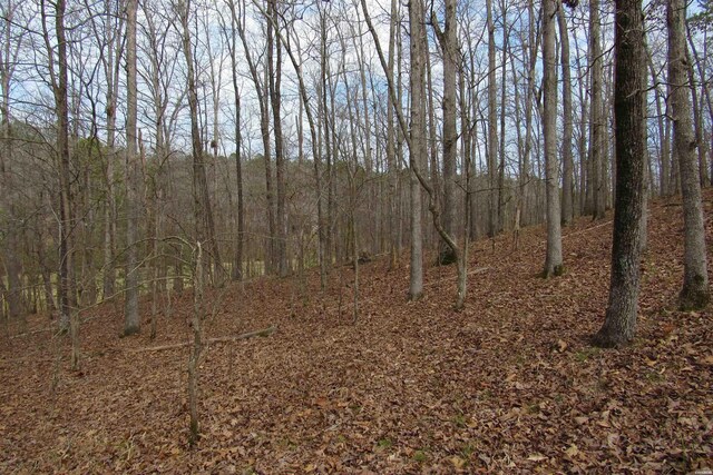 1667A-1671A Westchester Ct, Hot Springs, AR 71913 - photo 14