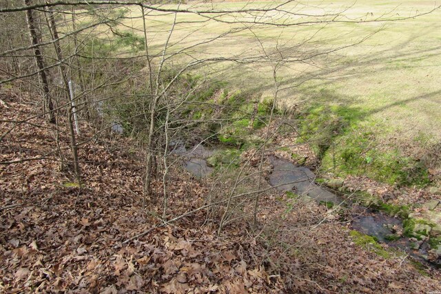 1667A-1671A Westchester Ct, Hot Springs, AR 71913 - photo 5