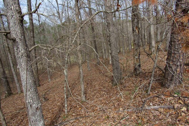 1667A-1671A Westchester Ct, Hot Springs, AR 71913 - photo 10