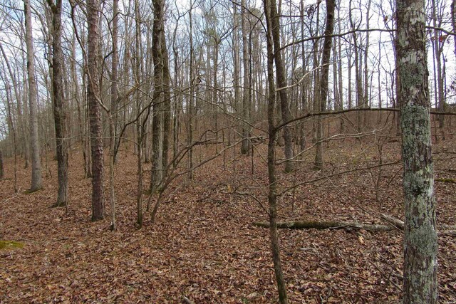 1667A-1671A Westchester Ct, Hot Springs, AR 71913 - photo 17