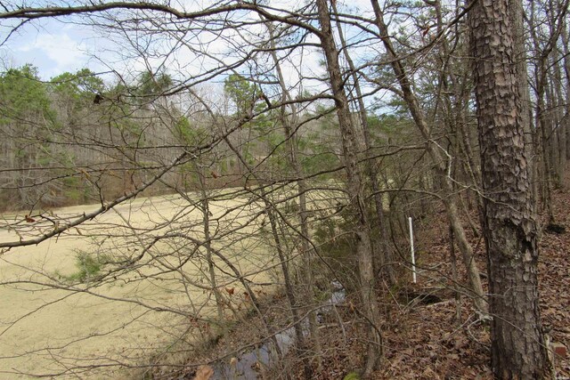 1667A-1671A Westchester Ct, Hot Springs, AR 71913 - photo 15