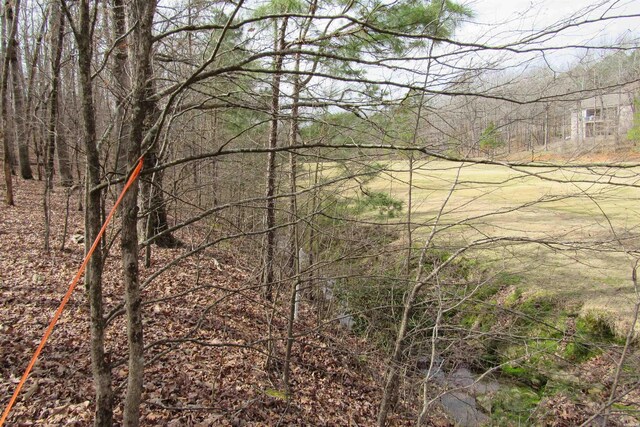 1667A-1671A Westchester Ct, Hot Springs, AR 71913 - photo 7