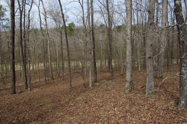 1667A-1671A Westchester Ct, Hot Springs, AR 71913 - photo 12