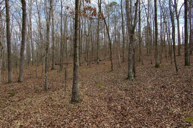 1667A-1671A Westchester Ct, Hot Springs, AR 71913 - photo 18