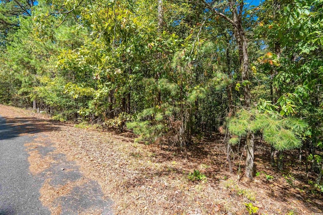 21 Promesa Ln, Hot Springs Village AR, 71909 land for sale