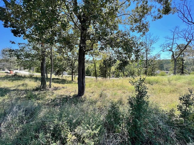 000 Cougar Ter, Hot Springs, AR 71913 - photo 2